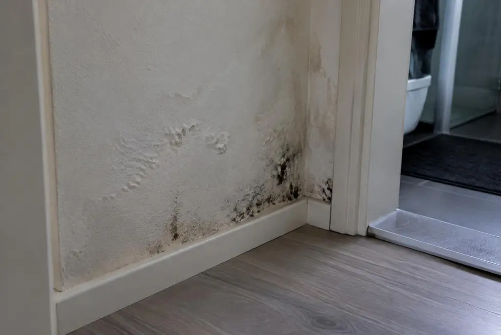 Lekdetectie Swifterbant – vochtplek met schimmel op een muur
